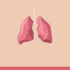 lungs